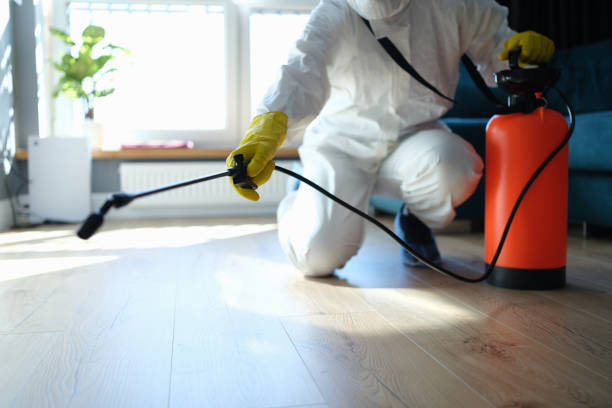 Reliable Sewage Cleanup contractor in Jefferson, TX by Trauma Clean Pros